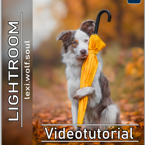 Lightroom Tutorial